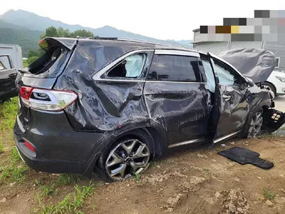 2016 Kia Sorento KNAPS81ABGA223165 VIN:KNAPS81ABGA223165