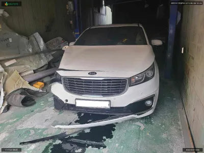2016 Kia Carnival KNAMB81ABGS196391 VIN:KNAMB81ABGS196391