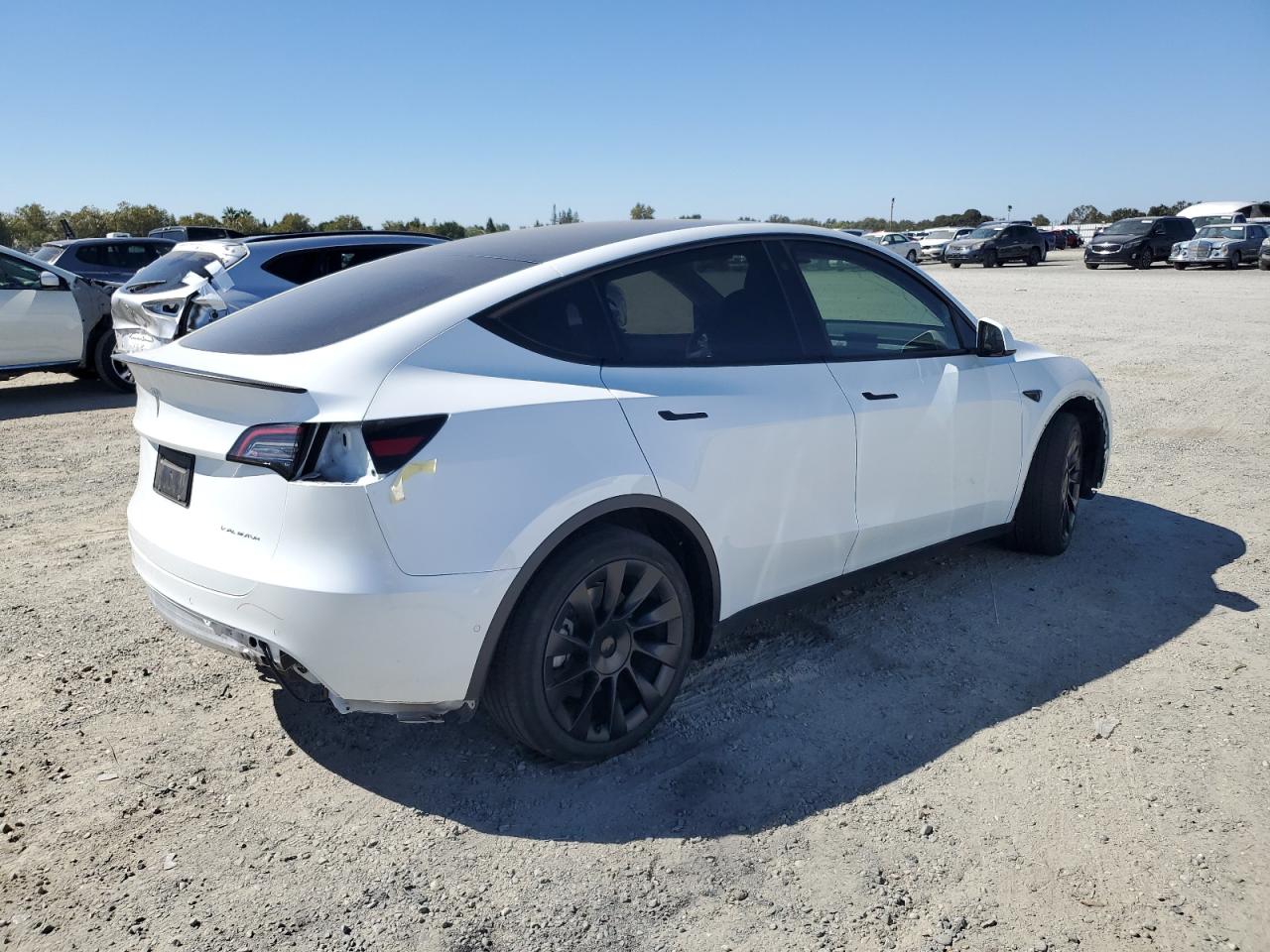 2022 TESLA MODEL Y  VIN:7SAYGDEE2NF508959