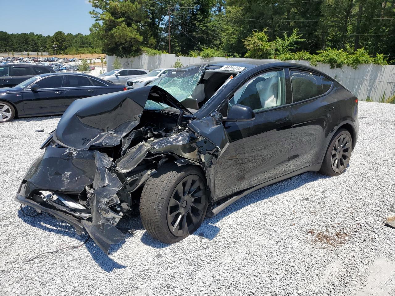 2023 TESLA MODEL Y  VIN:7SAYGDEE5PA189489