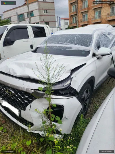 2019 Hyundai Santa FE KMHS381BBKU171201 VIN:KMHS381BBKU171201