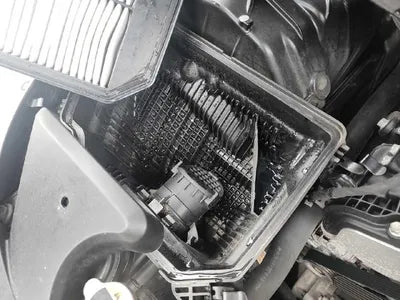 2019 Genesis G80 VIN: