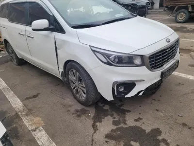 2019 Kia Carnival KNAMB81ABKS592317 VIN:KNAMB81ABKS592317