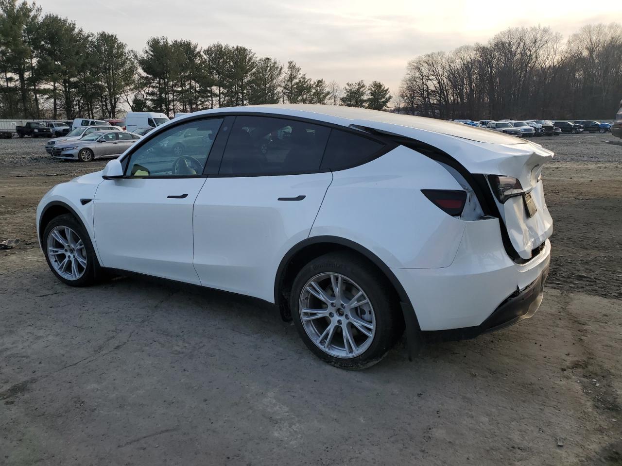2023 TESLA MODEL Y  VIN:7SAYGDEE2PA099975