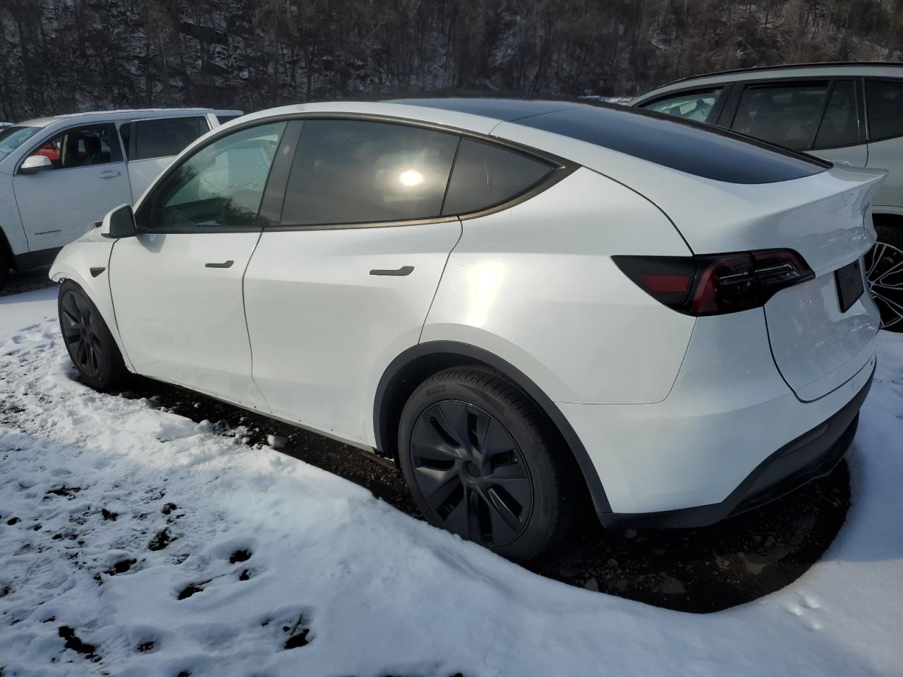 2024 TESLA MODEL Y  VIN:7SAYGDEE0RA308715