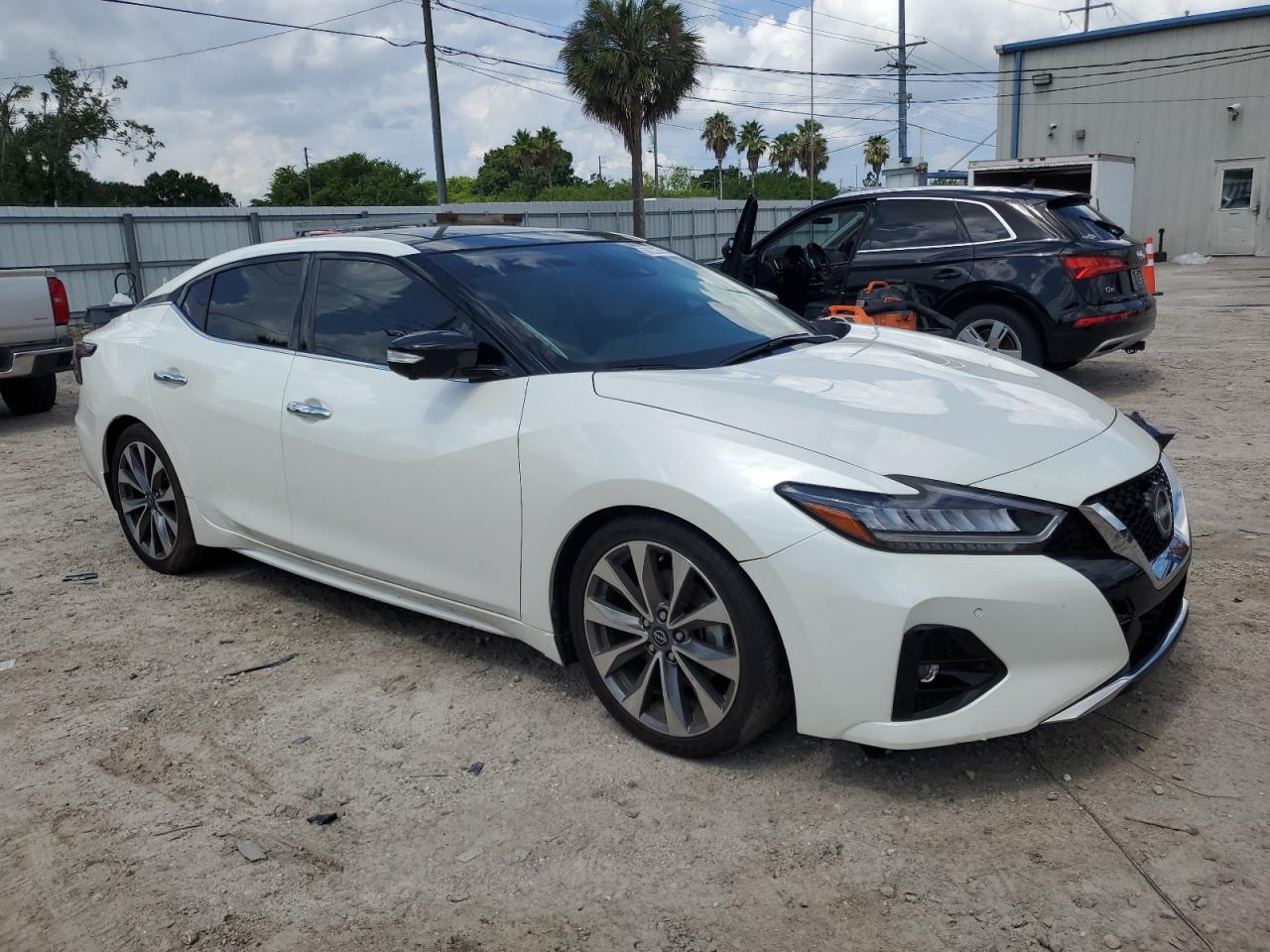 2023 NISSAN MAXIMA PLATINUM VIN:1N4AA6FV9PC513866