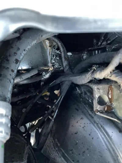 2022 Mercedes-Benz S 350 W1K6F3AB4NA148721 VIN:W1K6F3AB4NA148721