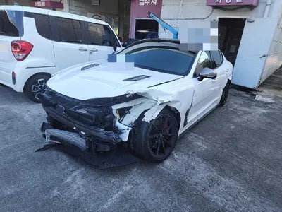2021 Kia Stinger KNAE551CDMS098940 VIN:KNAE551CDMS098940