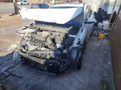 2019 Hyundai Kona KMHK7815GKU319444 VIN:KMHK7815GKU319444