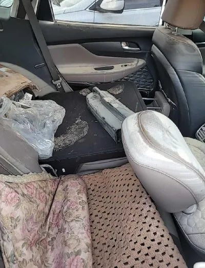 2020 Hyundai Santa FE KMHS381BBLU248387 VIN:KMHS381BBLU248387
