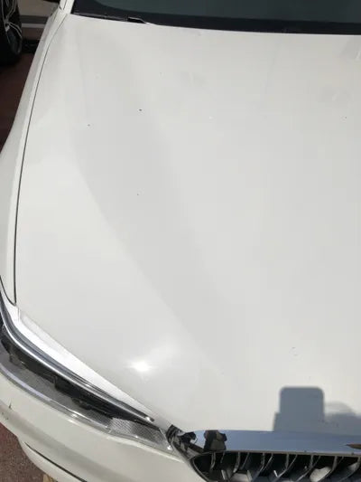 2019 BMW 520 WBAJF5107KWW51458 VIN:WBAJF5107KWW51458