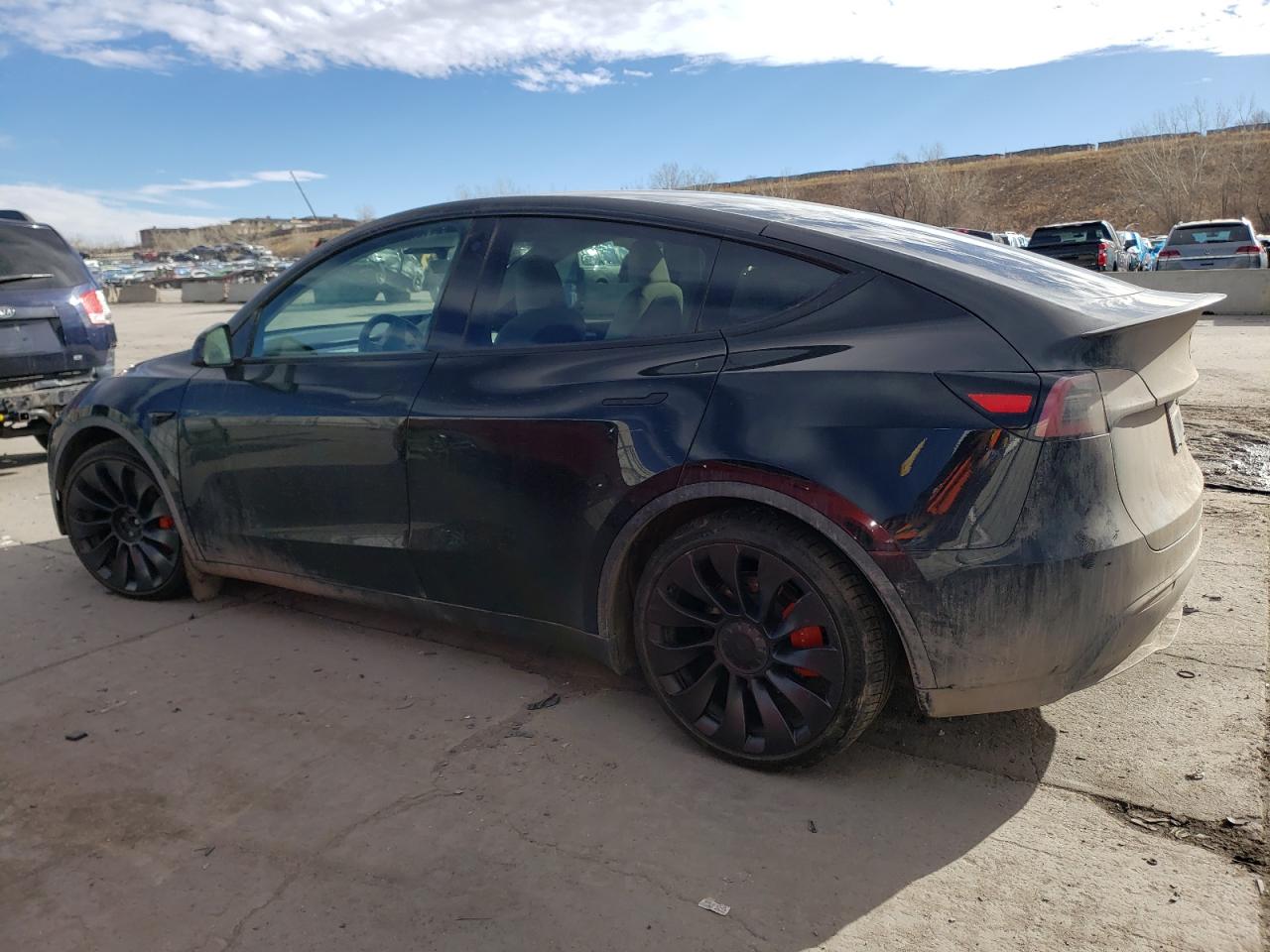 2023 TESLA MODEL Y  VIN:7SAYGDEF5PF701909