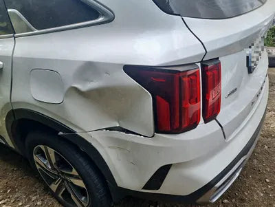 2021 Kia Sorento KNARK81GDMA000615 VIN:KNARK81GDMA000615