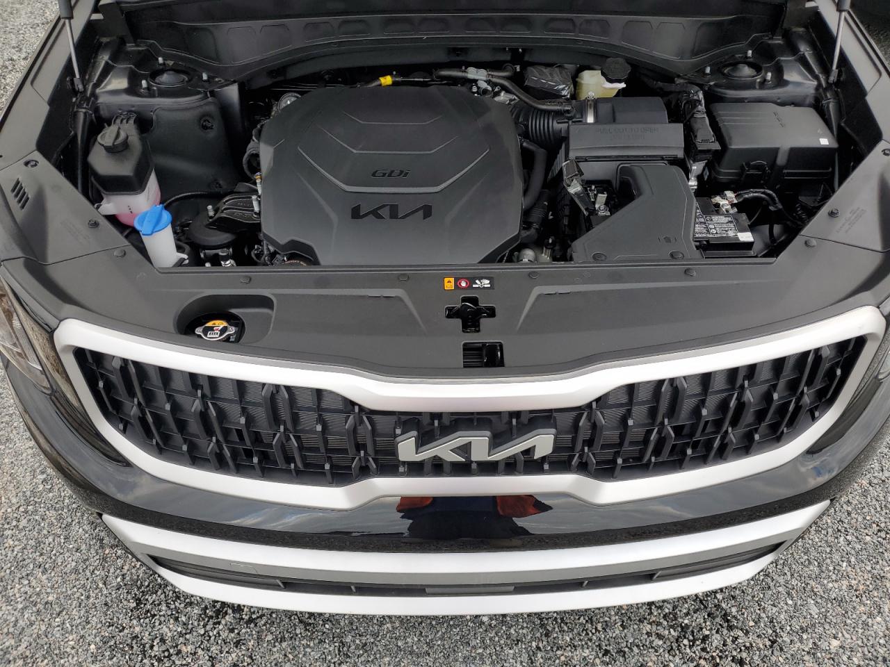 2024 KIA TELLURIDE EX VIN:5XYP34GC8RG544010