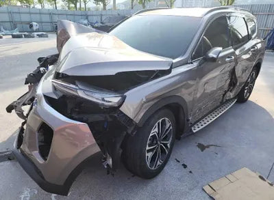 2020 Hyundai Santa FE KMHS381CDLU246684 VIN:KMHS381CDLU246684