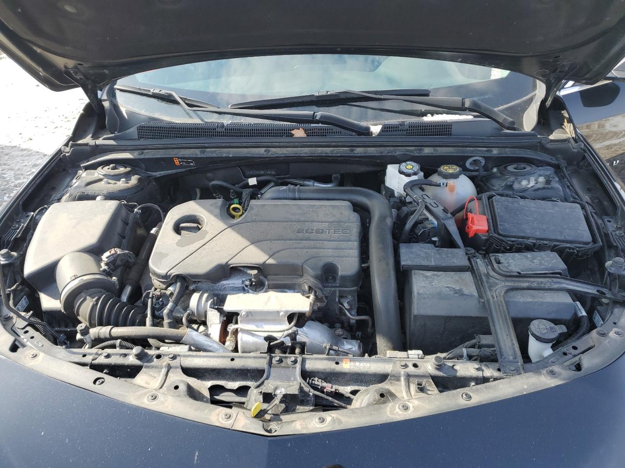 2023 CHEVROLET MALIBU LS VIN:1G1ZC5ST6PF114698