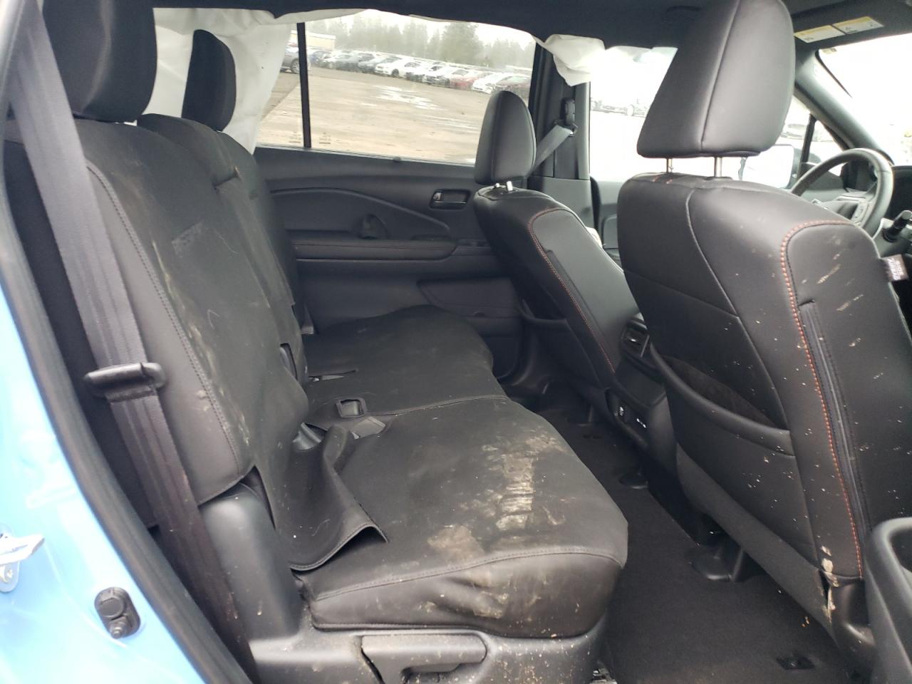 2024 HONDA PASSPORT TRAIL SPORT VIN:5FNYF8H65RB013169