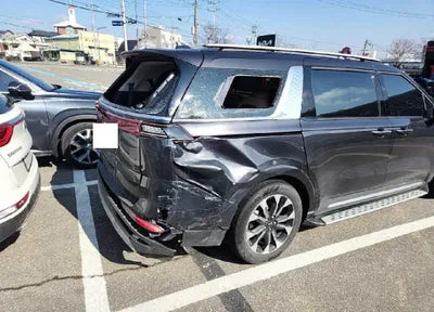 2021 Kia Carnival KNANE81BBMS056875 VIN:KNANE81BBMS056875