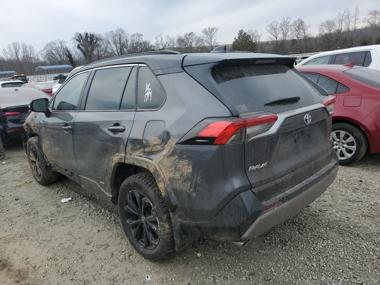 2024 TOYOTA RAV4 XSE VIN:2T3E6RFVXRW067161