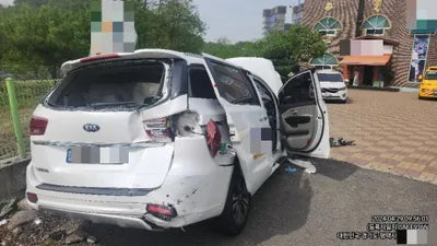 2019 Kia Carnival VIN: