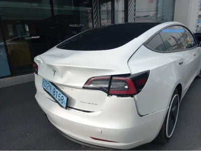 2021 Tesla Model 3 5YJ3E1EB4MF891562 VIN:5YJ3E1EB4MF891562