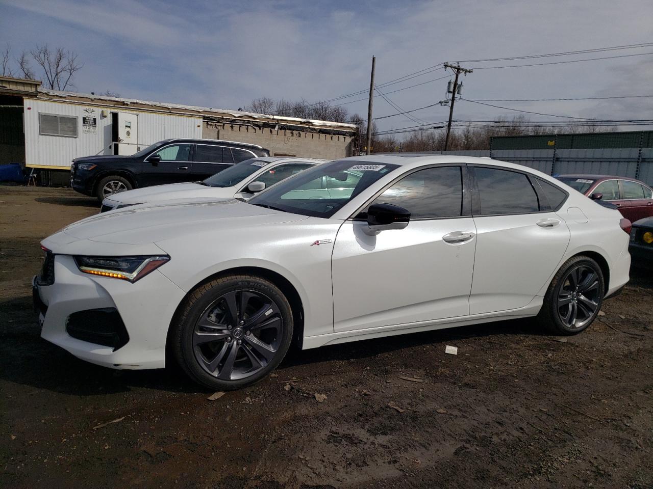2023 ACURA TLX A-SPEC VIN:19UUB6F55PA005007
