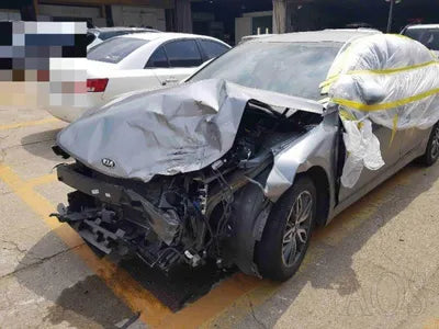 2020 Kia K5 KNAG241BBLA021569 VIN:KNAG241BBLA021569