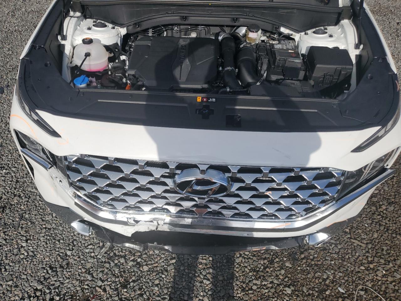 2023 HYUNDAI SANTA FE LIMITED VIN:5NMS44AL5PH626392