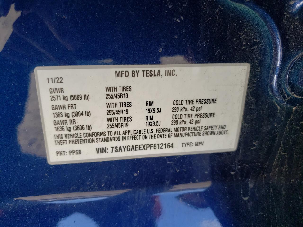 2023 TESLA MODEL Y  VIN:7SAYGAEEXPF612164