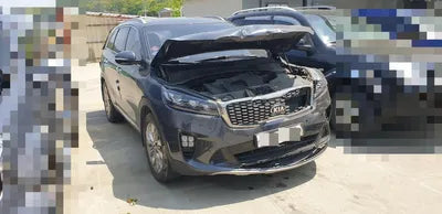 2017 Kia Sorento KNAPS81BBJA425950 VIN:KNAPS81BBJA425950