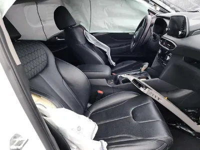 2019 Hyundai Santa FE KMHS581CBKU116989 VIN:KMHS581CBKU116989