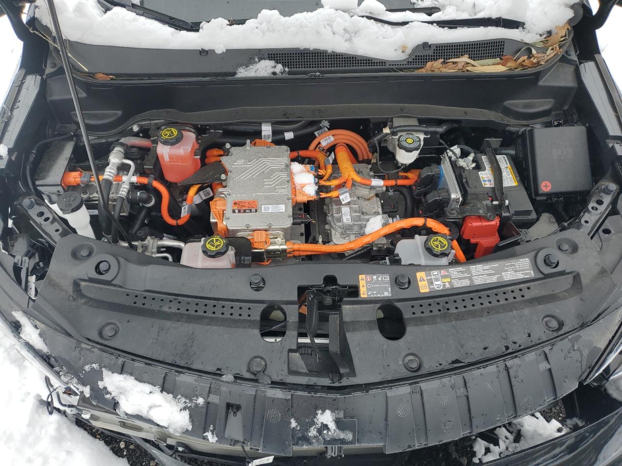 2023 CHEVROLET BOLT EUV LT VIN:1G1FY6S06P4197402