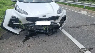 2019 Kia Carnival KNAMB81ABKS502641 VIN:KNAMB81ABKS502641