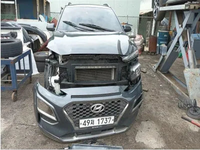 2019 Hyundai Kona KMHK4815GKU387758 VIN:KMHK4815GKU387758