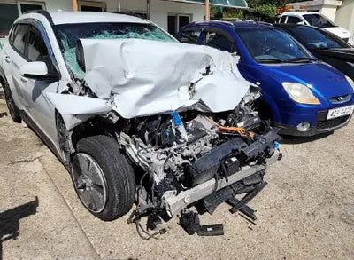 2020 Hyundai Kona KMHK281GFLU095261 VIN:KMHK281GFLU095261