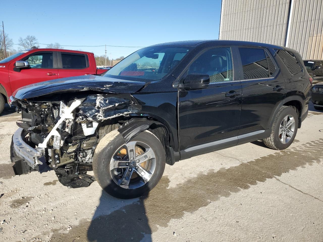 2023 HONDA PILOT EXL VIN:5FNYG1H44PB058426