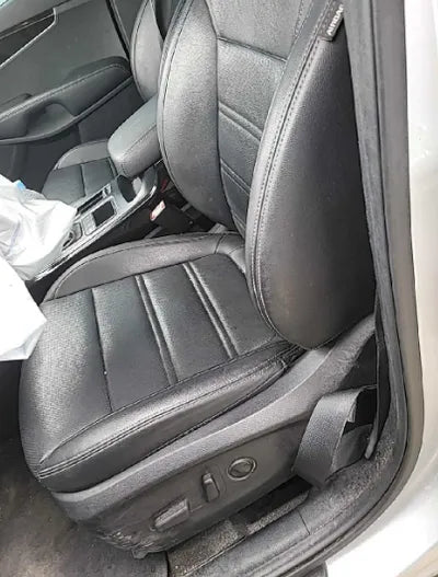 2020 Kia Sorento KNAPG81BDLA590067 VIN:KNAPG81BDLA590067
