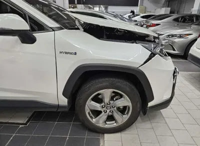 2019 Toyota RAV4 VIN: