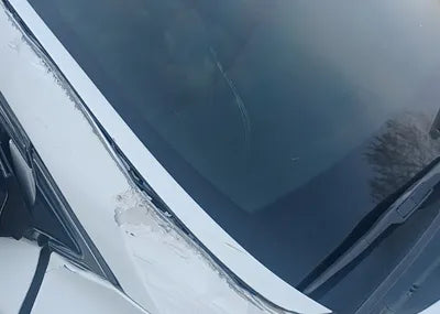 2017 Hyundai Santa FE KMHSW81UBHU731557 VIN:KMHSW81UBHU731557