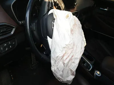 2019 Hyundai Santa FE KMHS581CDKU124309 VIN:KMHS581CDKU124309