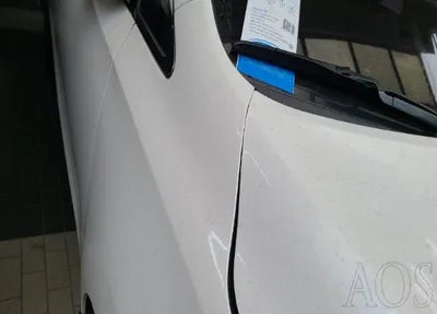 2017 Kia Carnival 318KMKNAME81ABHS3 VIN:318KMKNAME81ABHS3