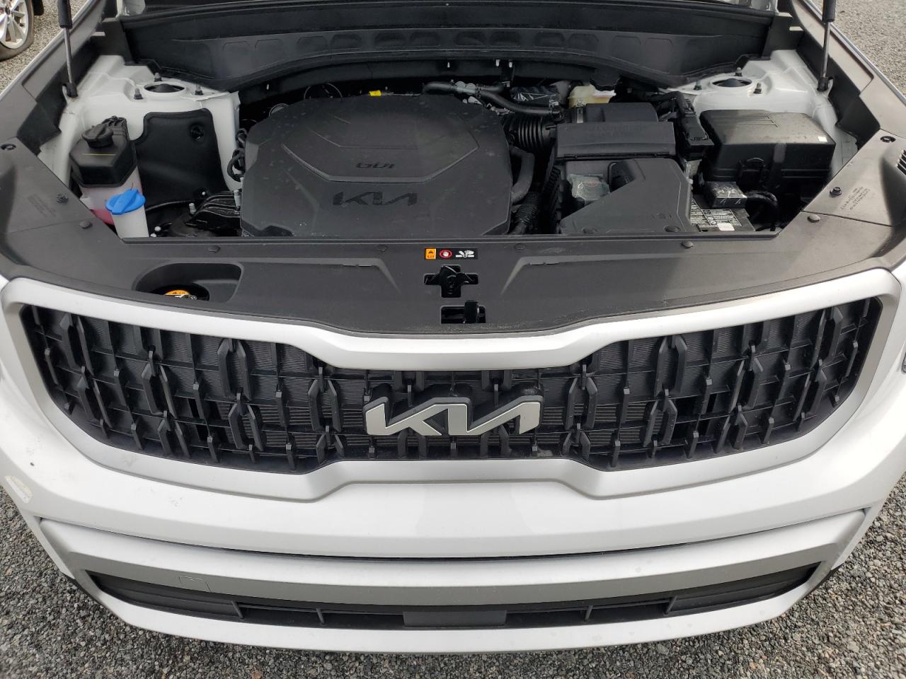 2024 KIA TELLURIDE LX VIN:5XYP24GC9RG567041