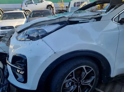 2019 Kia Sportage KNAPR813BKK690261 VIN:KNAPR813BKK690261