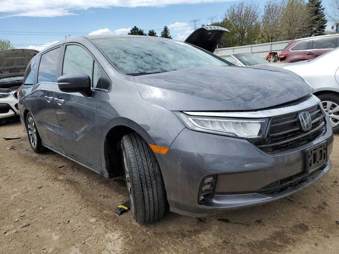 2024 HONDA ODYSSEY EXL VIN:5FNRL6H64RB036072