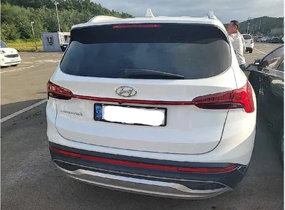 2021 Hyundai Santa FE KMHS381HGMU315041 VIN:KMHS381HGMU315041