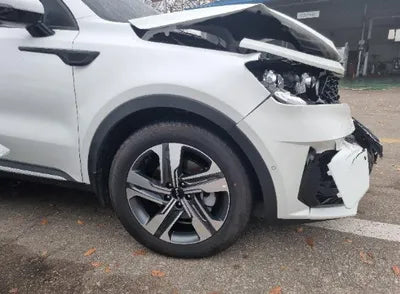 2023 Kia Sorento KNARJ81GBPA204006 VIN:KNARJ81GBPA204006