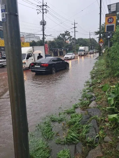 2020 Mercedes-Benz C 200 W1KWF8AB5LR571223 VIN:W1KWF8AB5LR571223