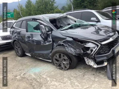 2021 Kia Sportage KNAPW81CDNK015321 VIN:KNAPW81CDNK015321