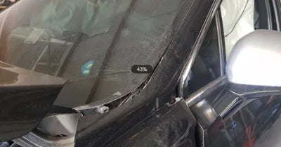 2019 Hyundai Santa FE KMHS581ADKU164894 VIN:KMHS581ADKU164894