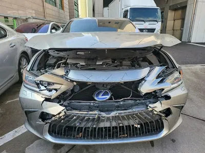 2019 Lexus ES 300 JTHB21B12K2049785 VIN:JTHB21B12K2049785